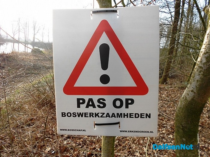 Het wordt er wel mooi licht van