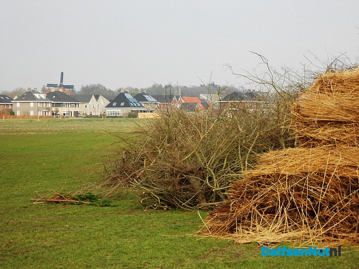 Het begin is er van de Paasbult in Hoonhorst