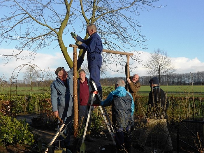 Een boog zetten bij de buren, een traditie - Foto: Eigen geleverde foto