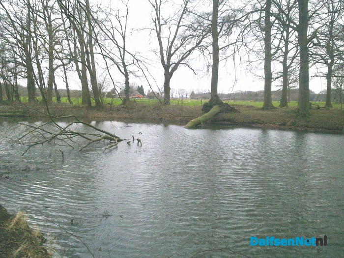 Bosbouwwerkzaamheden op landgoed Den Berg