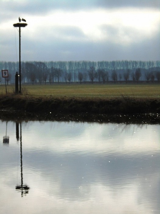Liefkozende ooievaars - Foto: Lenze L