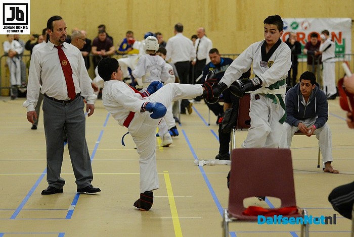Internationale judo wedstrijden in Dalfsen - Foto: Johan Bokma