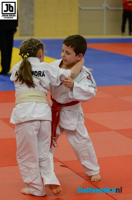 Internationale judo wedstrijden in Dalfsen - Foto: Johan Bokma