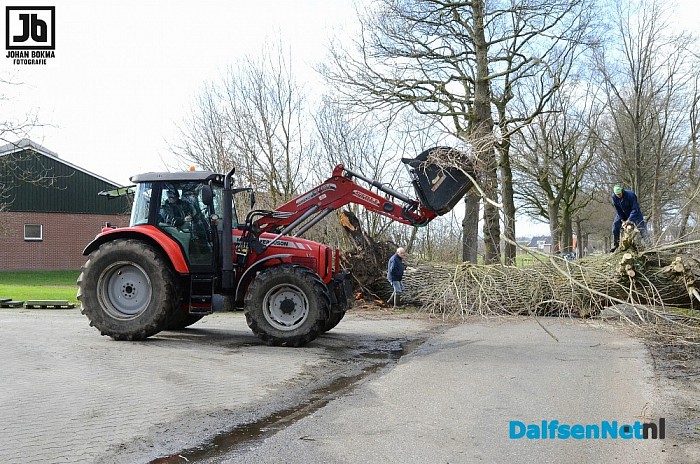 Grote boom aan de Marshoekersteeg valt om - Foto: Johan Bokma