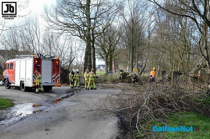 Grote boom aan de Marshoekersteeg valt om - Foto: Johan Bokma