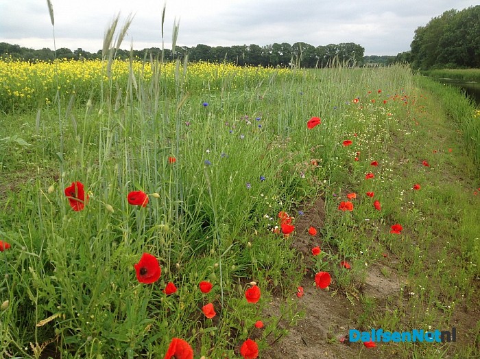Opgave Agrarisch Natuurbeheer