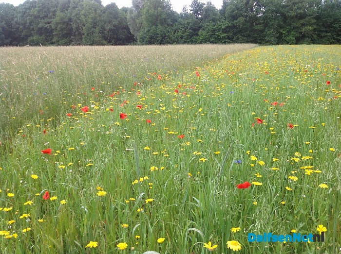 Opgave Agrarisch Natuurbeheer