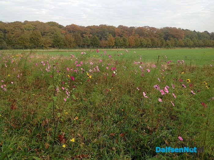 Opgave Agrarisch Natuurbeheer