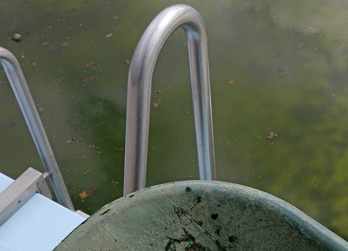 schoonmaakwerkzaamheden bassin zwembad - Foto: Paul Scholten