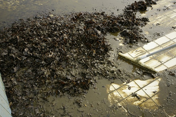 schoonmaakwerkzaamheden bassin zwembad - Foto: Paul Scholten