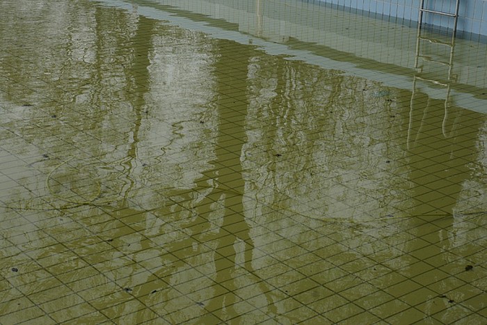 schoonmaakwerkzaamheden bassin zwembad - Foto: Paul Scholten