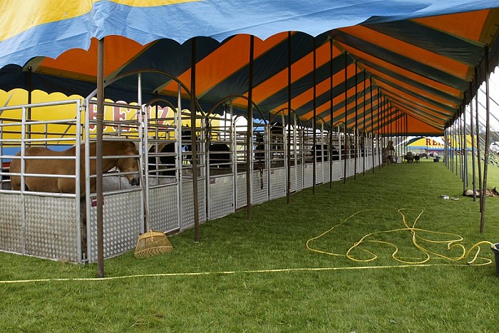 Circus Renz in Dalfsen - Foto: Paul Scholten