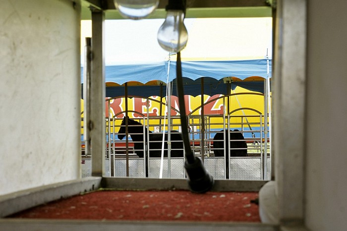 Circus Renz in Dalfsen - Foto: Paul Scholten