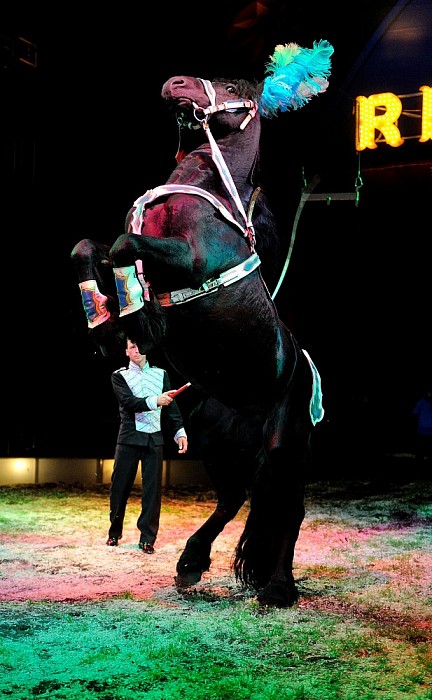 Circus Renz komt naar Dalfsen - Foto: Eigen geleverde foto