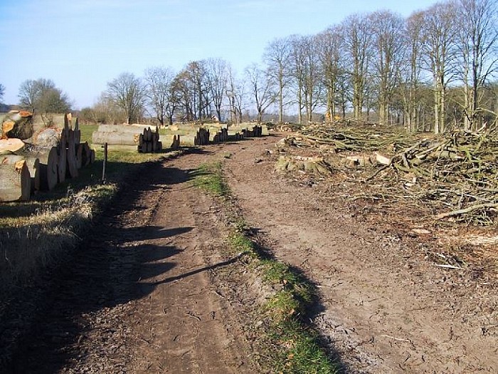 Het Landgoed Den Berg, deel 4 - Foto: Wim