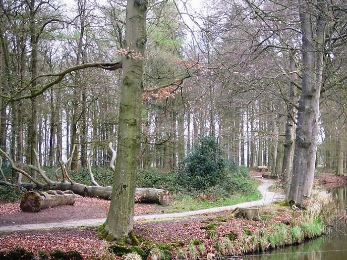 Water en natuur in en rond Hoonhorst - Foto: Wim