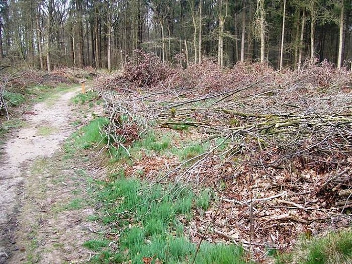 Water en natuur in en rond Hoonhorst - Foto: Wim