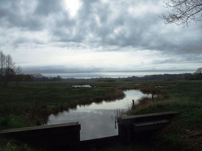 Water en natuur in en rond Hoonhorst - Foto: Wim