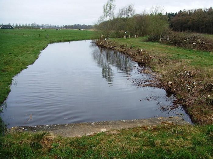 Water en natuur in en rond Hoonhorst - Foto: Wim
