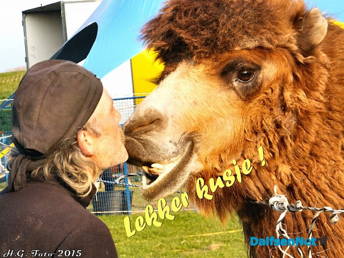 Als dieren konden praten. - Foto: H.G. Foto