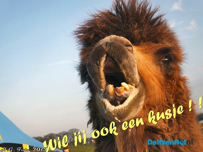 Als dieren konden praten. - Foto: H.G. Foto