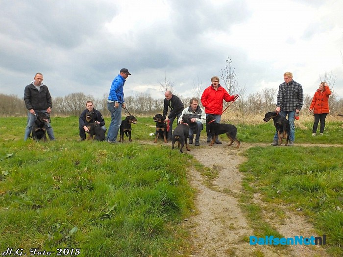 Honden reünie op pleisterplaats de Stokte.