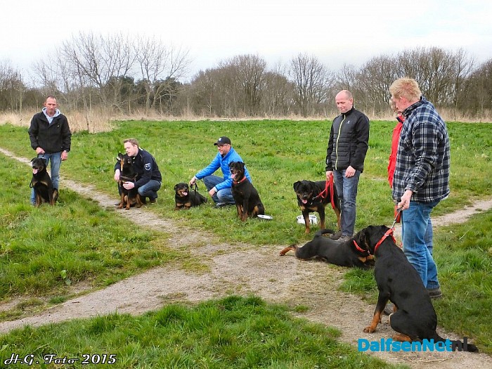 Honden reünie op pleisterplaats de Stokte.