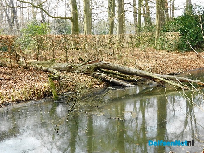 Wind hielp de houthakker een handje