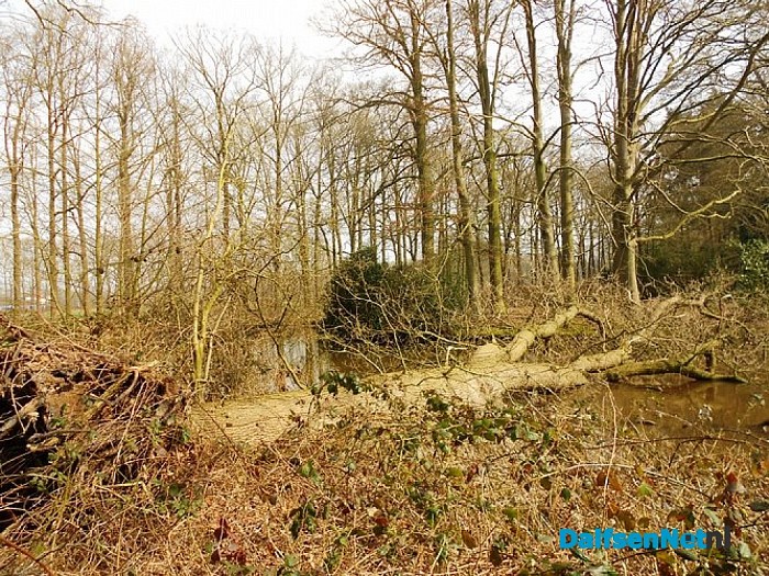 Wind hielp de houthakker een handje
