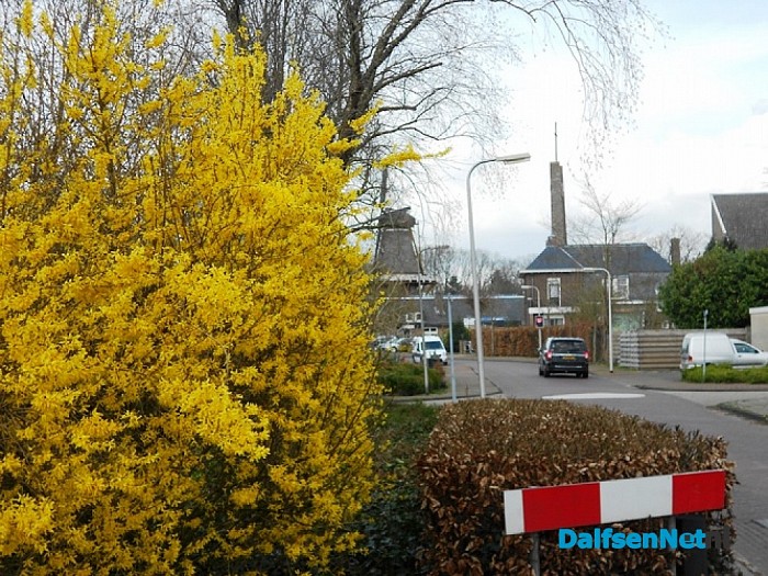 De lente komt er aan