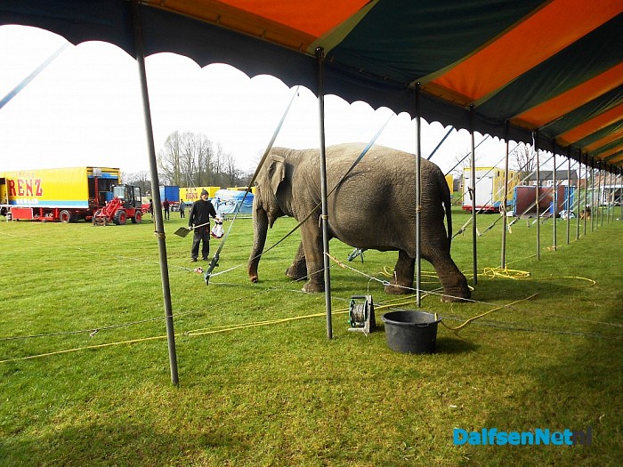 Ondeugende olifant stapt gewoon over afzetting