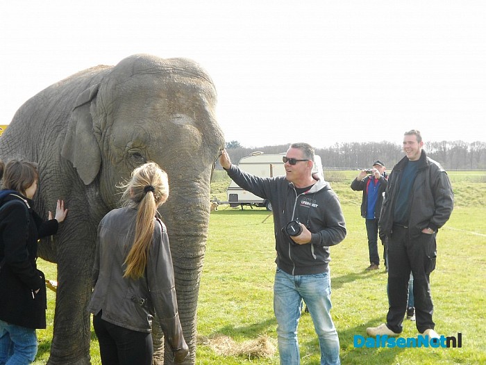 Ondeugende olifant stapt gewoon over afzetting