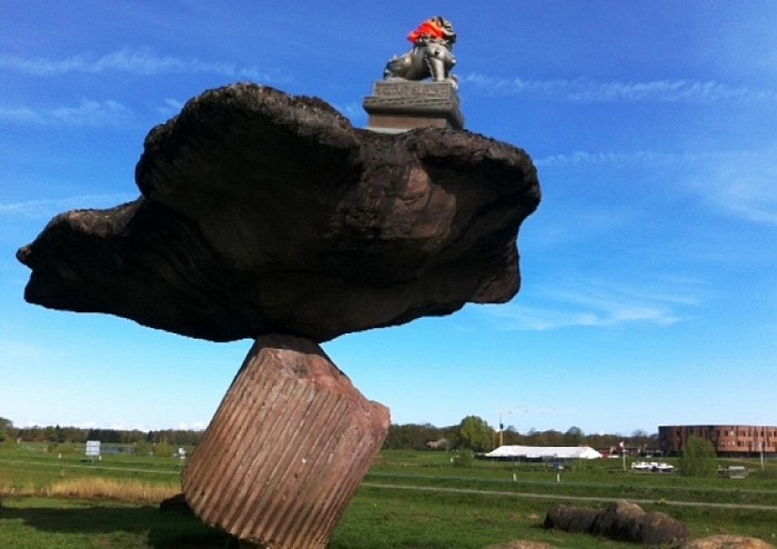 Leeuw zoekt ’t hogerop ! - Foto: Eigen geleverde foto