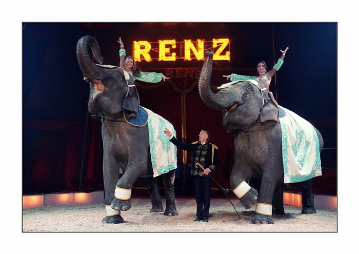 Circus Renz komt naar Dalfsen - Foto: Eigen geleverde foto