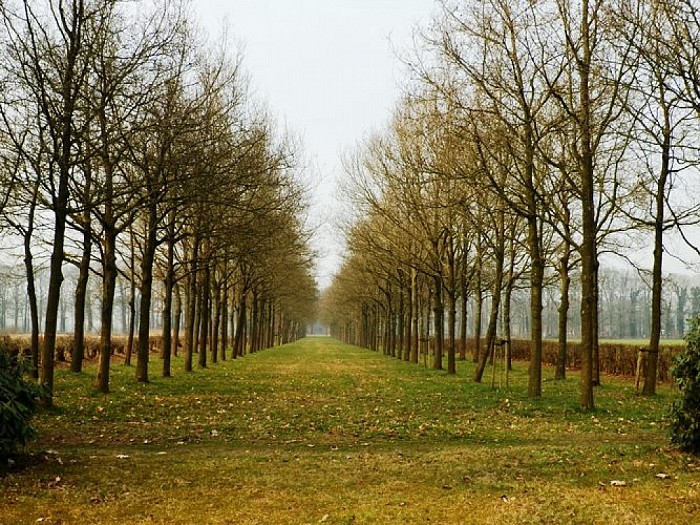 Landgoed en buitenplaats Den Berg (3) - Foto: Wim