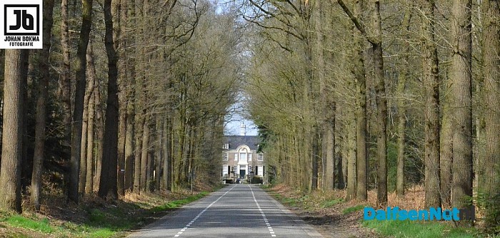De lente is echt begonnen! - Foto: Johan Bokma