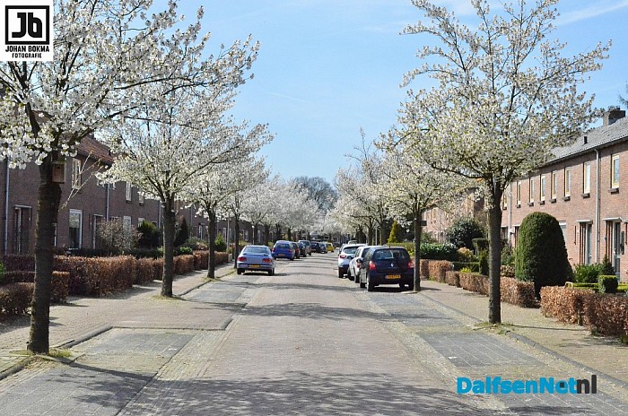 De lente is echt begonnen! - Foto: Johan Bokma