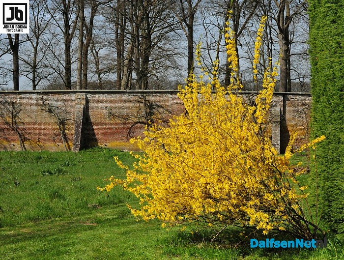 De lente is echt begonnen! - Foto: Johan Bokma