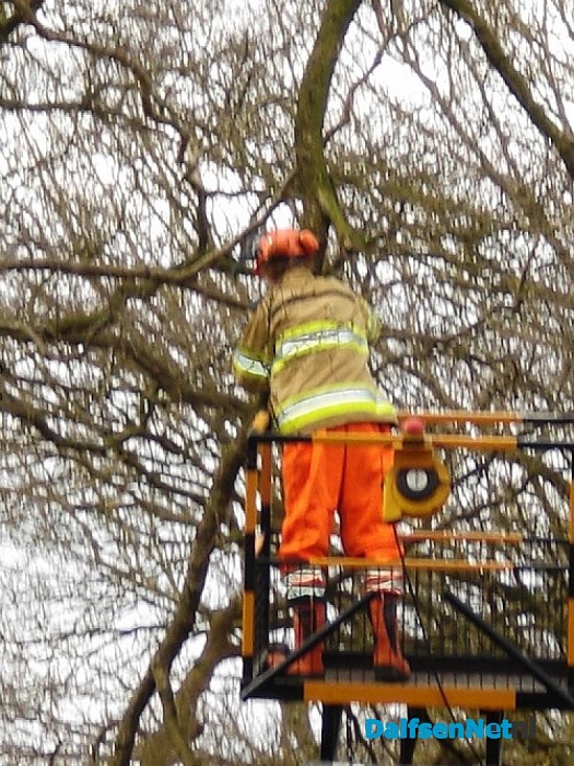 Stormschade  Bosrandweg