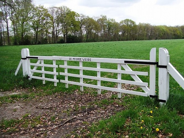 Landgoed Den Aalshorst (3), directe omgeving - Foto: Wim