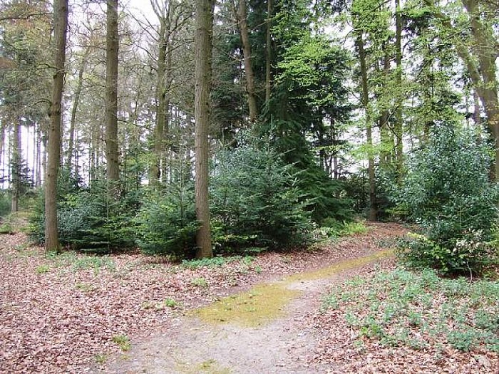Landgoed Den Aalshorst (3), directe omgeving - Foto: Wim