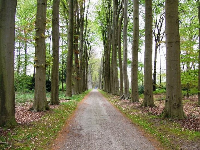 Den Aalshorst een historische buitenplaats (1) - Foto: Wim