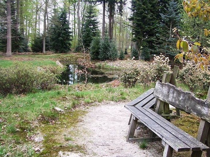 Landgoed Den Aalshorst (3), directe omgeving - Foto: Wim