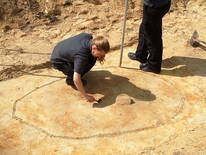 Zeven weken voor het karretje door  archeologen - Foto: Wim