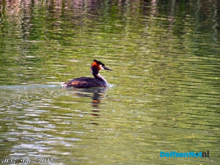 Rondje Bellingeweer. - Foto: H.G. Foto