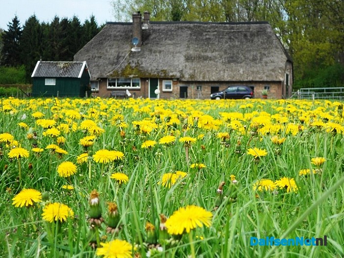 Beetje geel voor de ogen