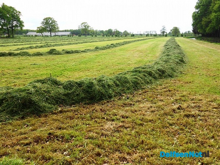 Het meeste gemaaide gras is binnen