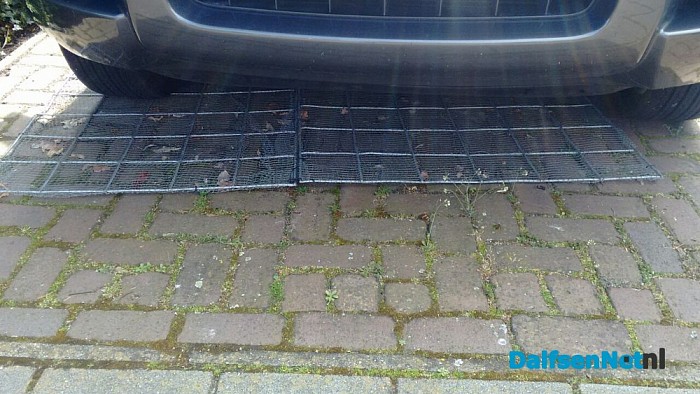 DE oplossing tegen steenmarters