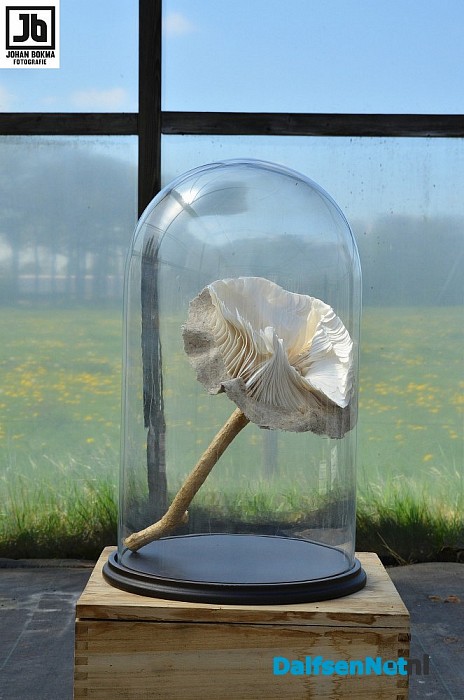 Een impressie van Kunst Om Dalfsen.