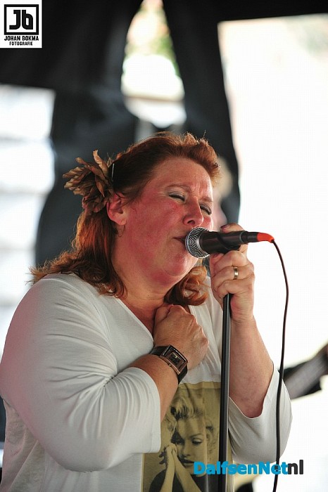Ribs & Blues 2015 Onovertroffen veel bezoekers - Foto: Johan Bokma